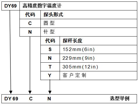 DY-69高精度數字溫度計